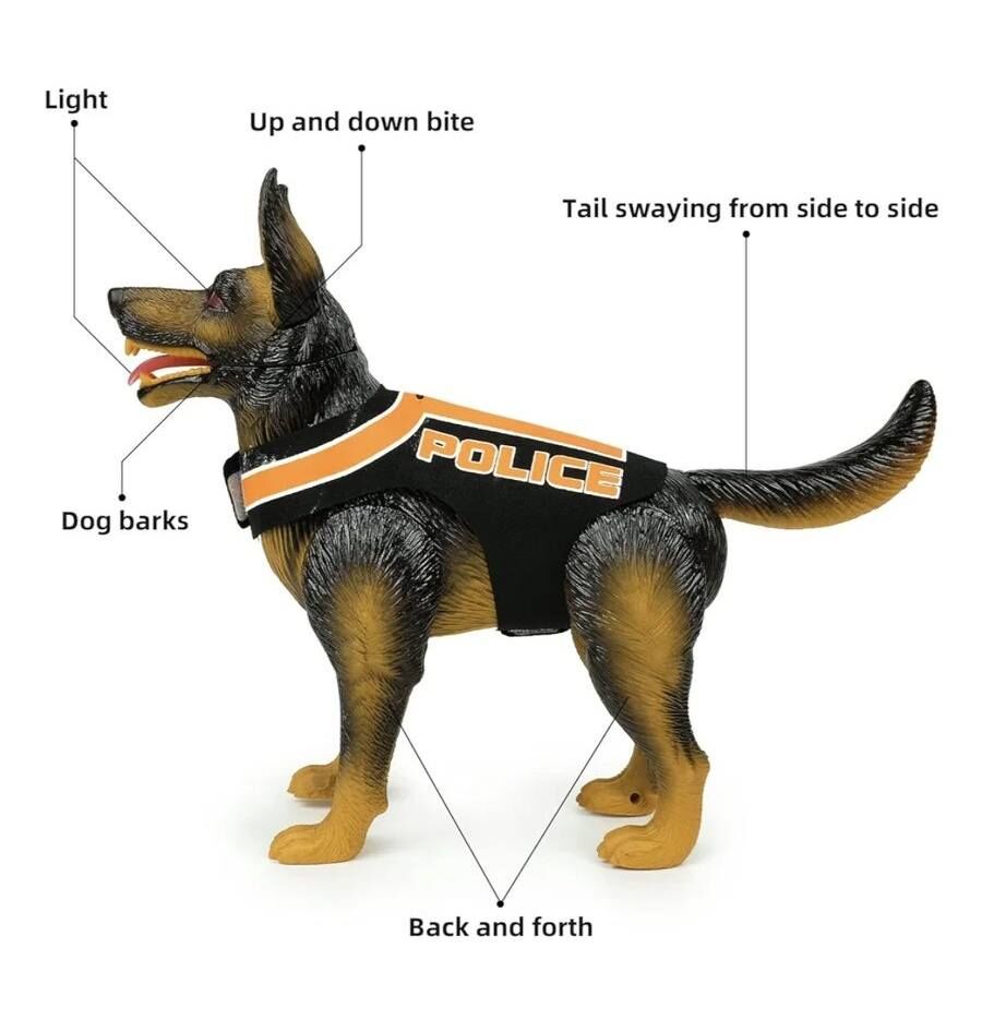 553408138_809645388104256_6080027489864193879_n