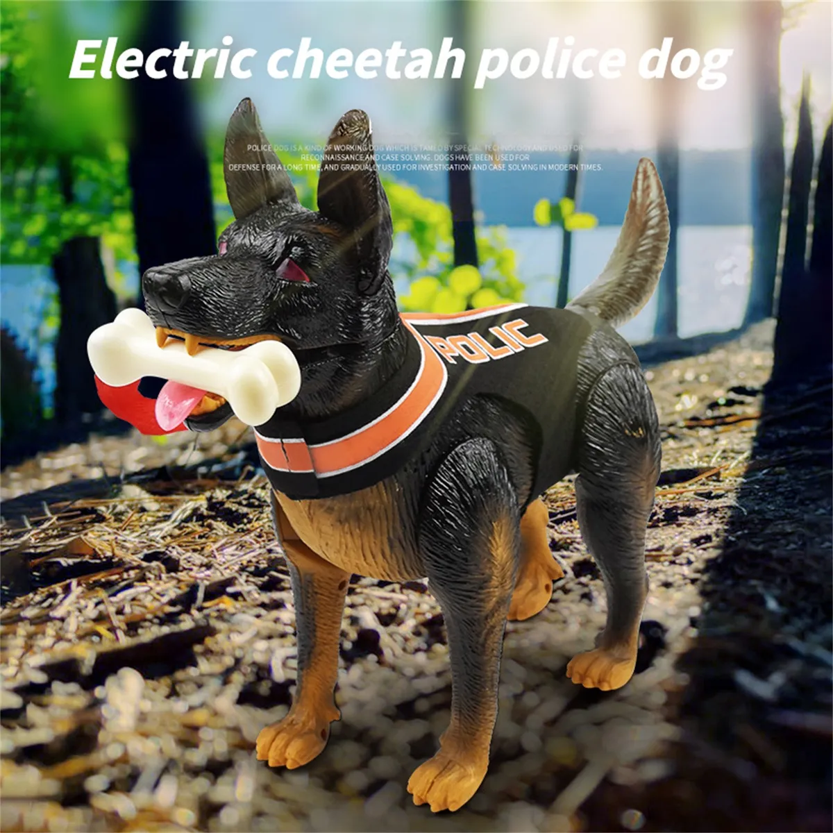 D_NQ_NP_2X_824854-CBT81049281496_122024-F